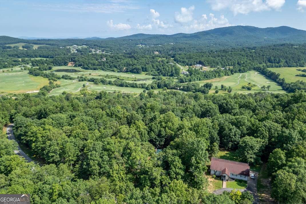 1133 Garrett Circle Blairsville - 48