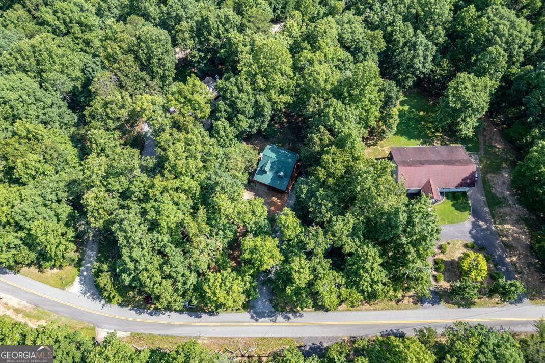 1133 Garrett Circle Blairsville - 49