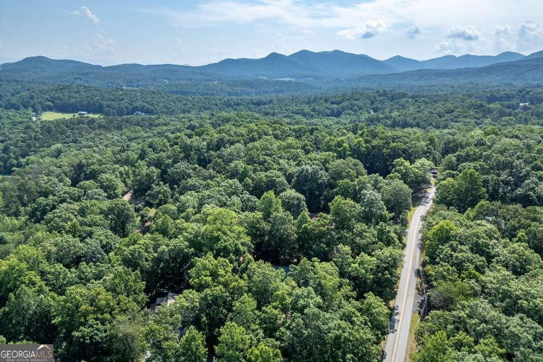 1133 Garrett Circle Blairsville - 53