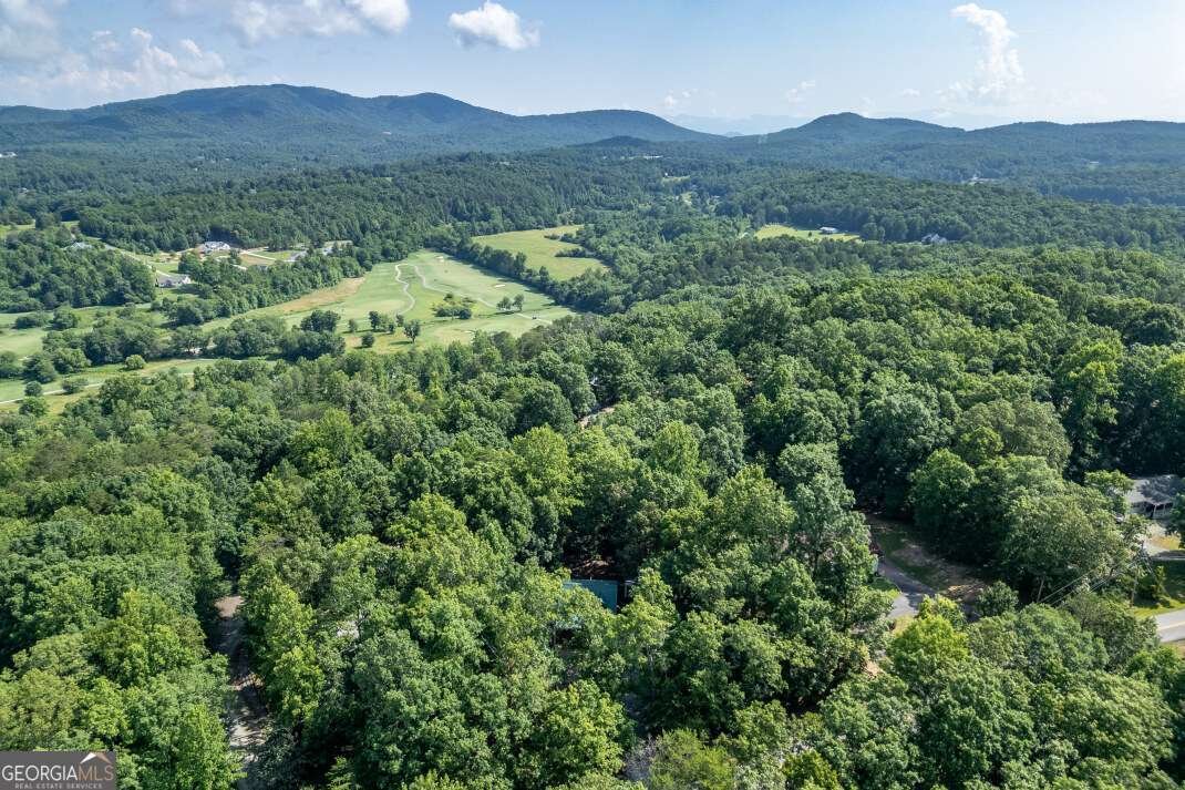 1133 Garrett Circle Blairsville - 55