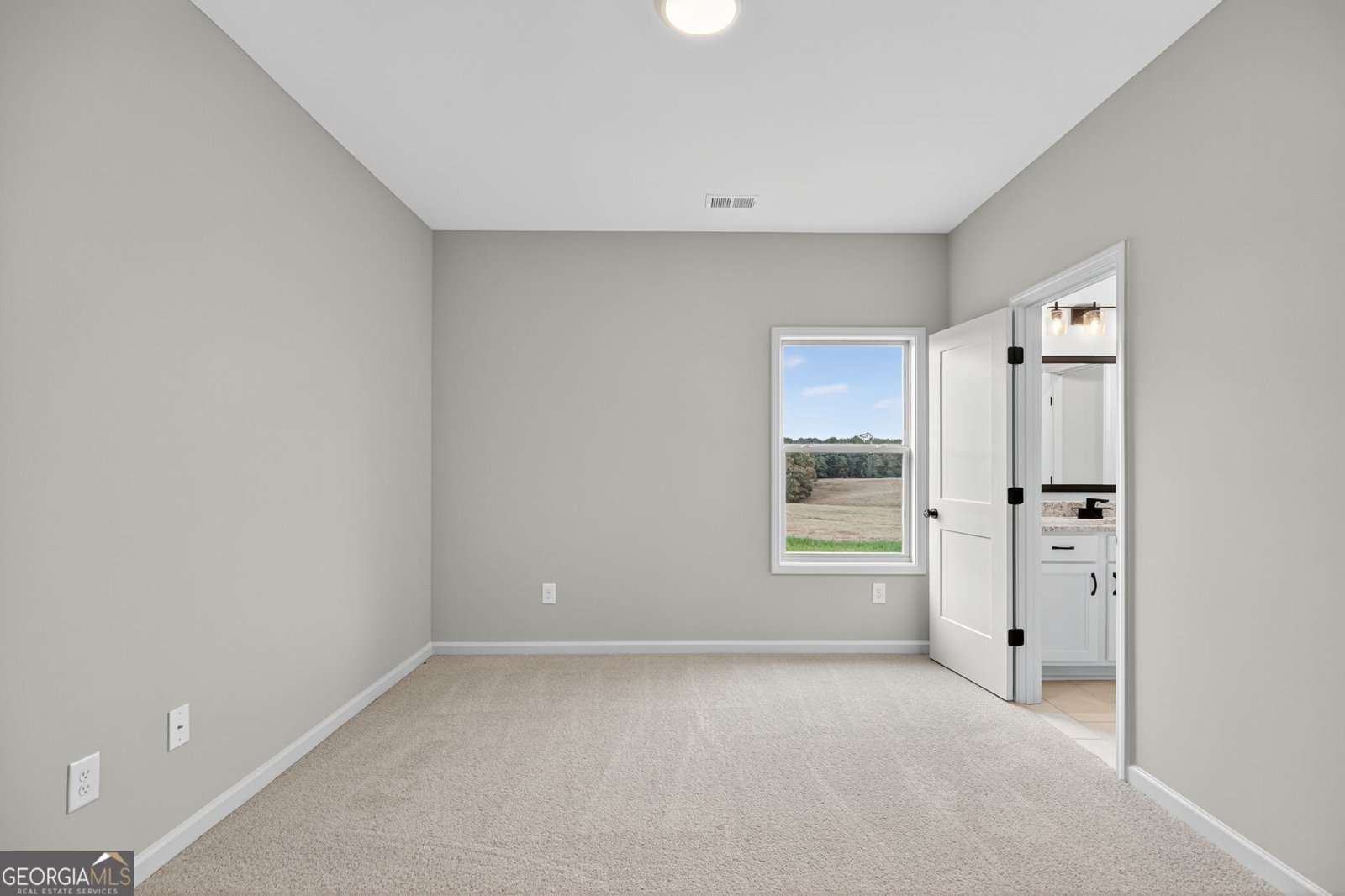 359 Gray Road Roopville - 36