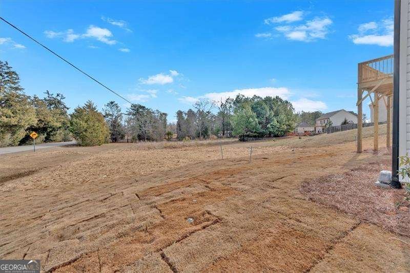 19 Bridgemill Drive Douglasville - 22