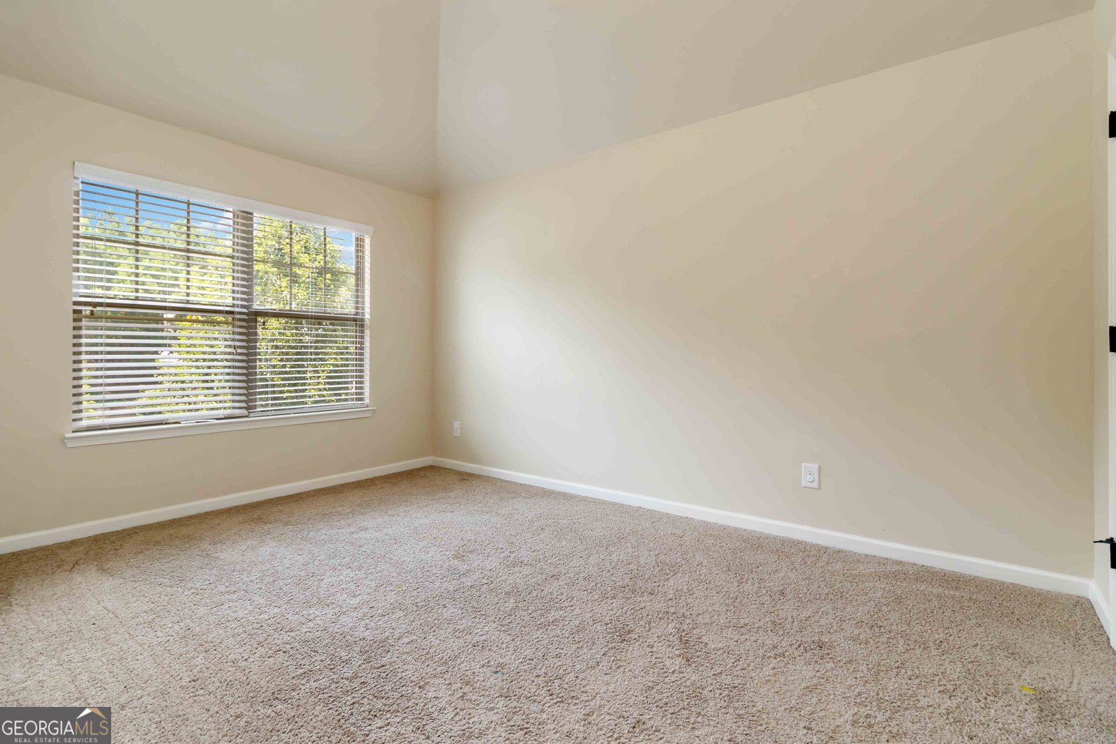 4249 CAVEAT Court Fairburn - 21