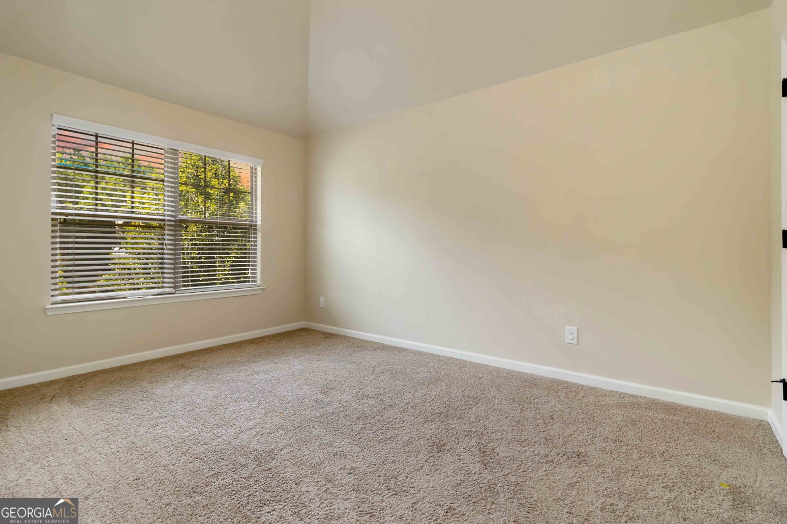 4249 CAVEAT Court Fairburn - 5