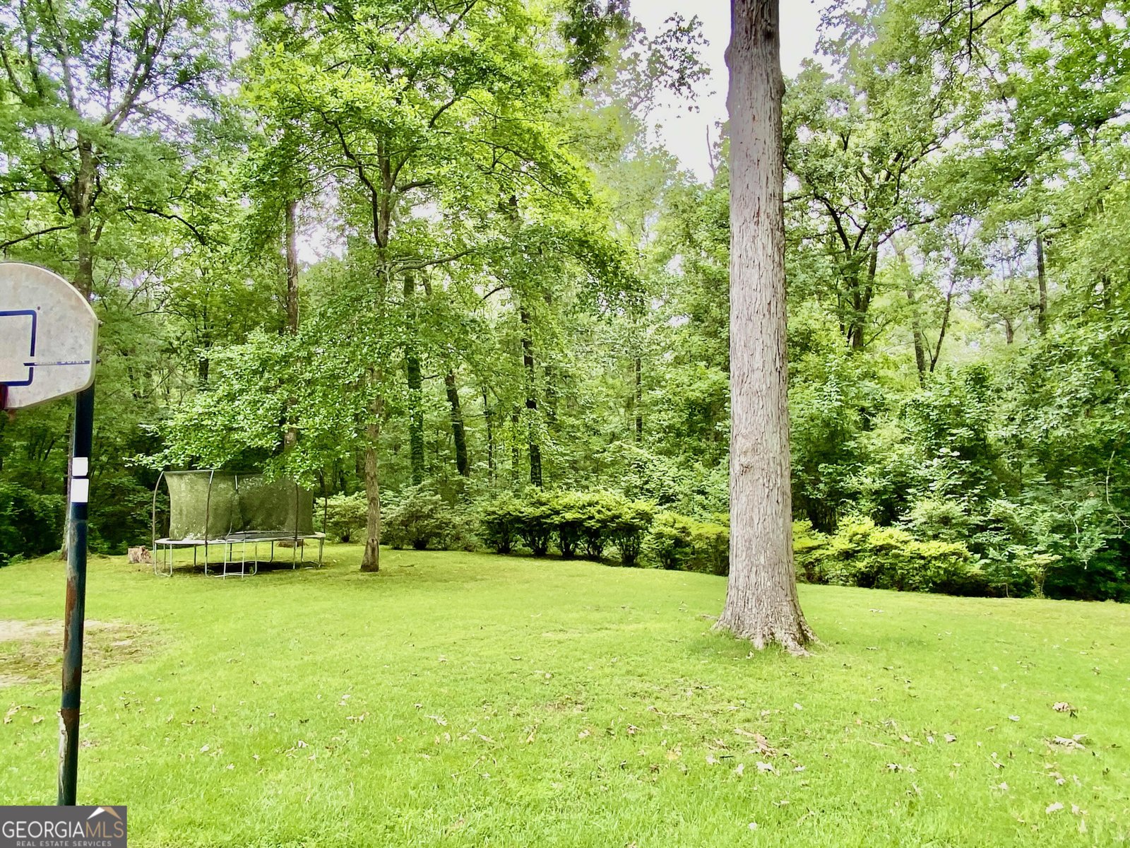 201 Timothy Avenue Rome - 4