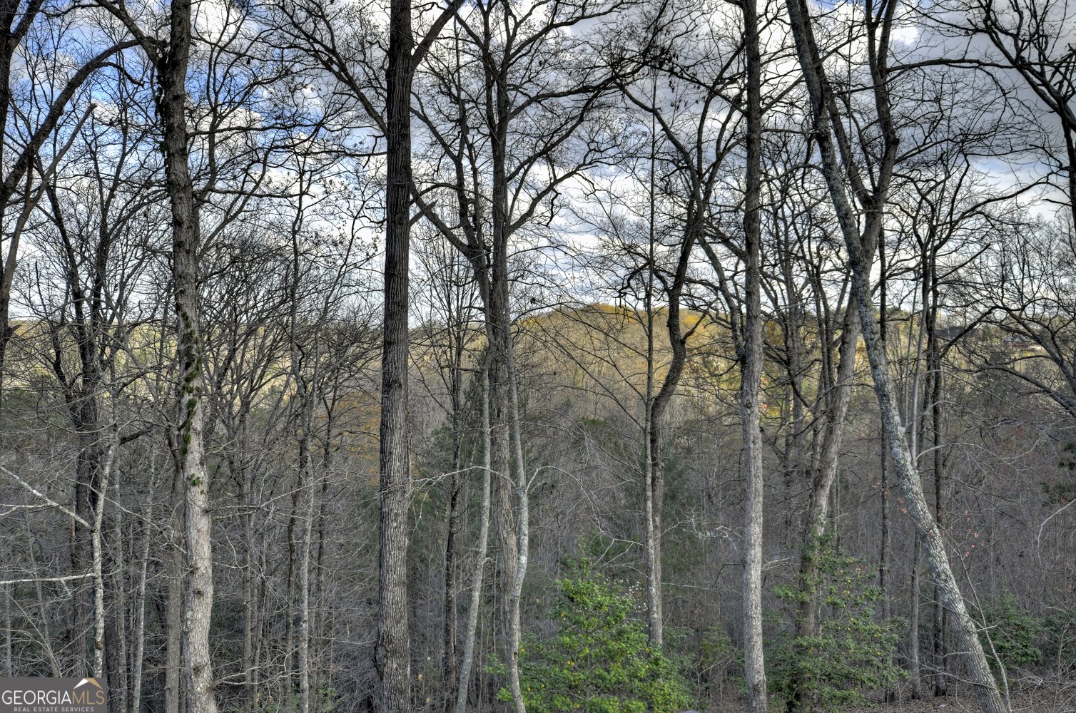 250 Wolf Creek Mountain Road Mineral Bluff - 10