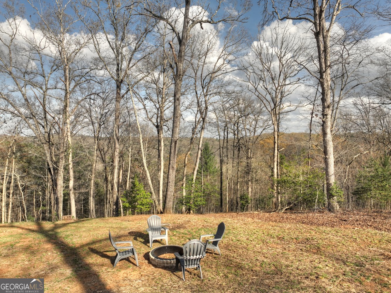 250 Wolf Creek Mountain Road Mineral Bluff - 49