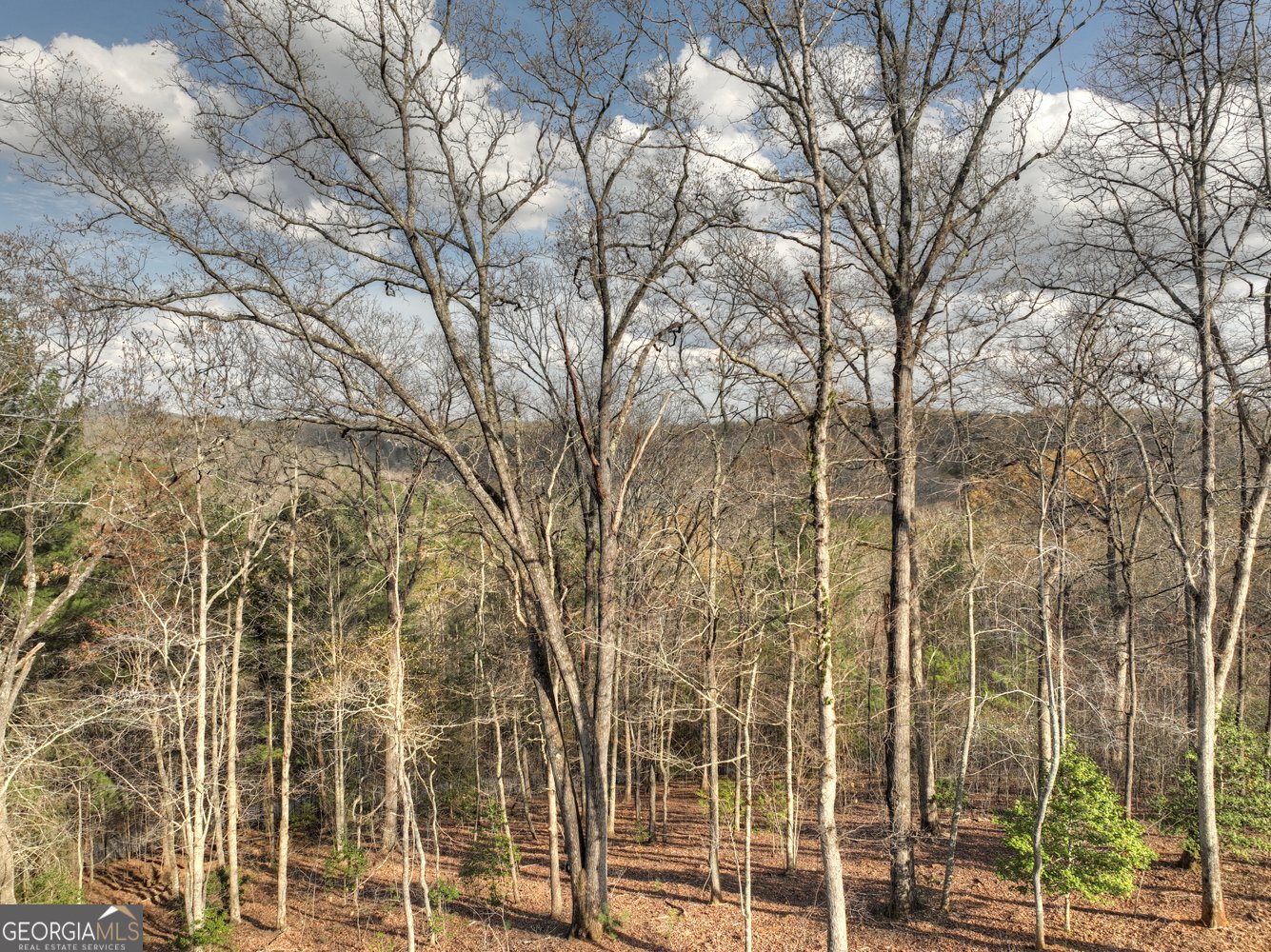 250 Wolf Creek Mountain Road Mineral Bluff - 54