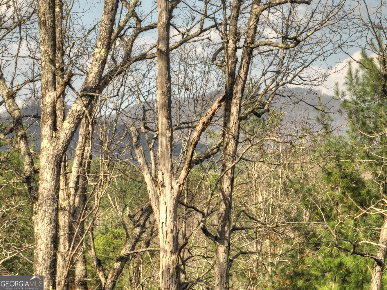 250 Wolf Creek Mountain Road Mineral Bluff - 55