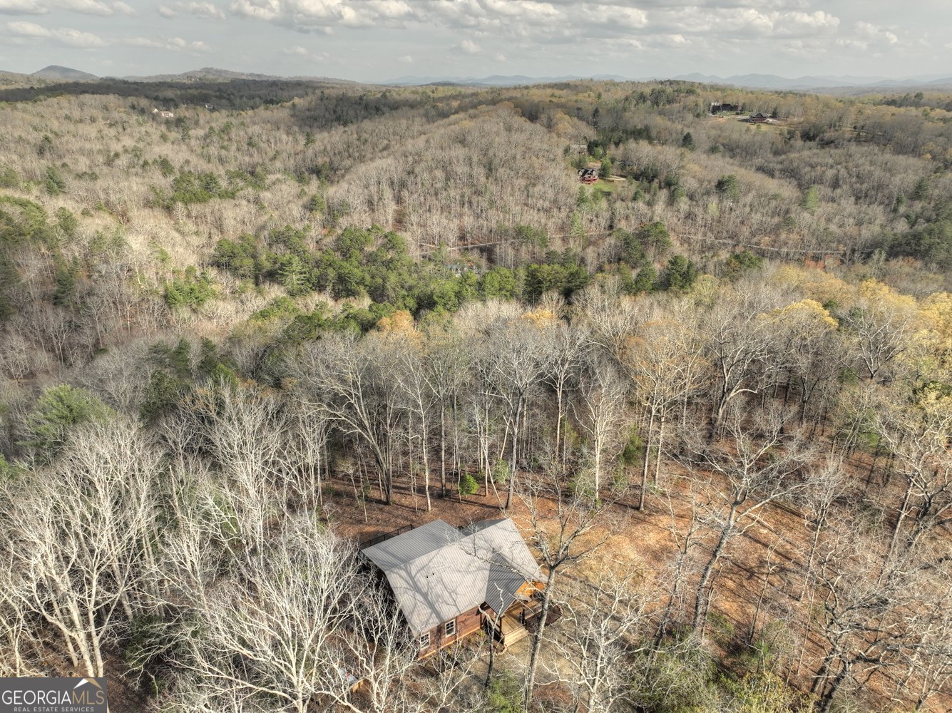 250 Wolf Creek Mountain Road Mineral Bluff - 58