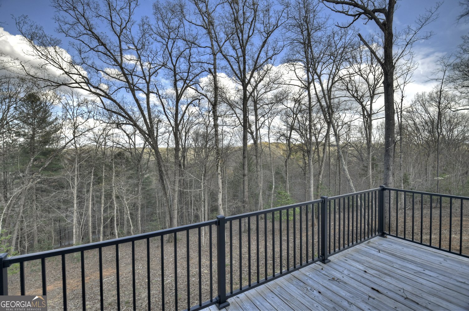 250 Wolf Creek Mountain Road Mineral Bluff - 9