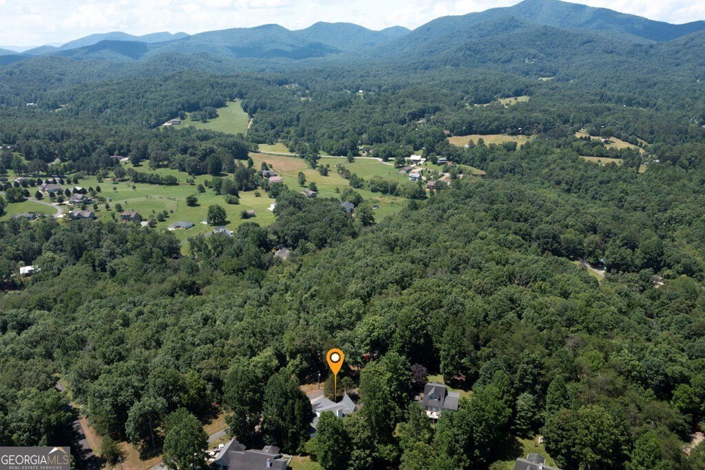 1801 Bassett Lane Young Harris - 49