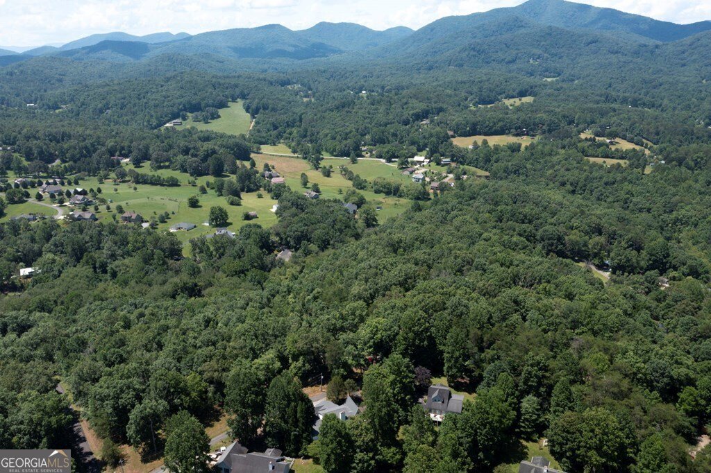 1801 Bassett Lane Young Harris - 50