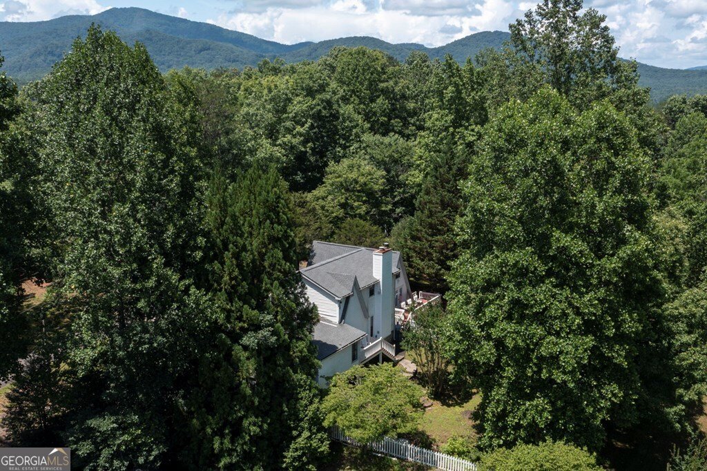 1801 Bassett Lane Young Harris - 52
