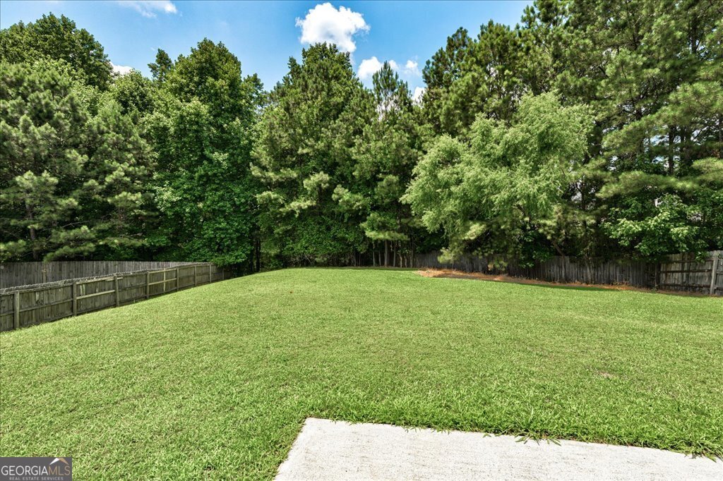 3953 Willow Fields Court Loganville - 39