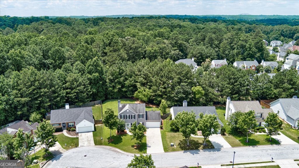 3953 Willow Fields Court Loganville - 46