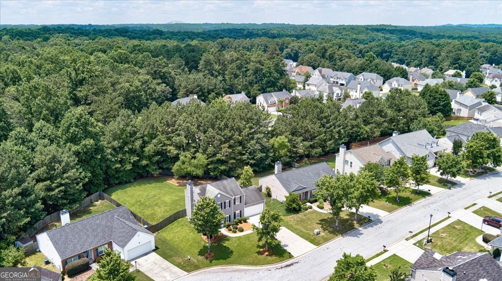 3953 Willow Fields Court Loganville - 47