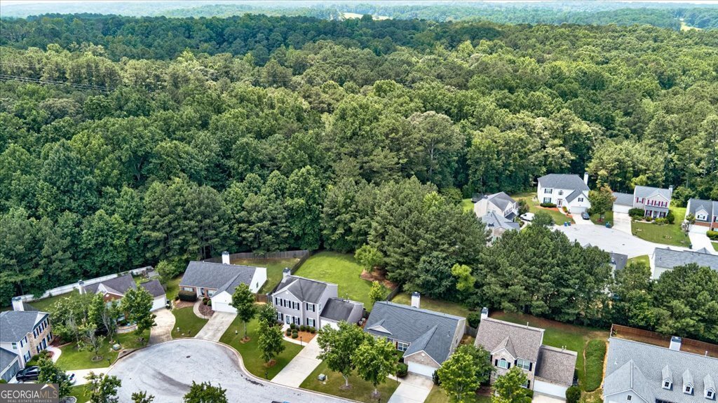 3953 Willow Fields Court Loganville - 50