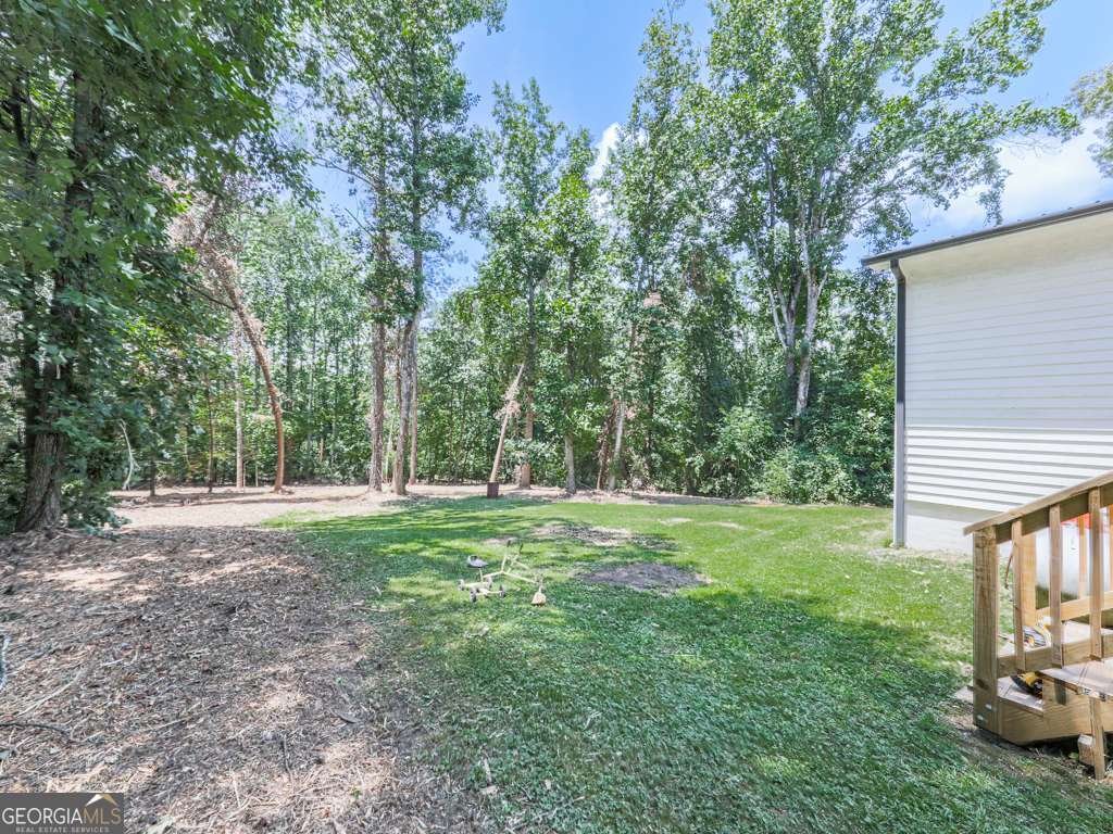 611 Smith Road Ball Ground - 32