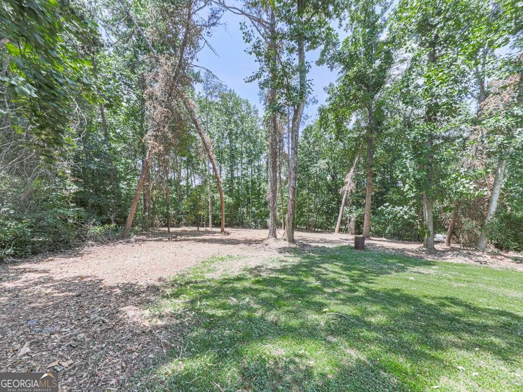 611 Smith Road Ball Ground - 34