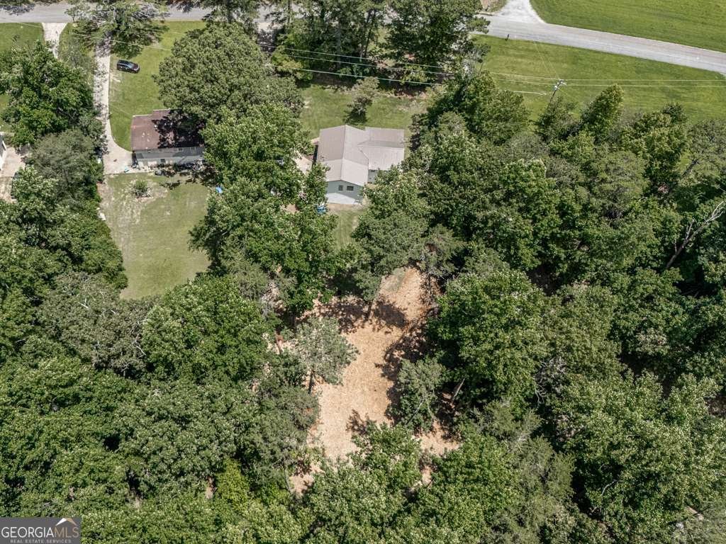 611 Smith Road Ball Ground - 41