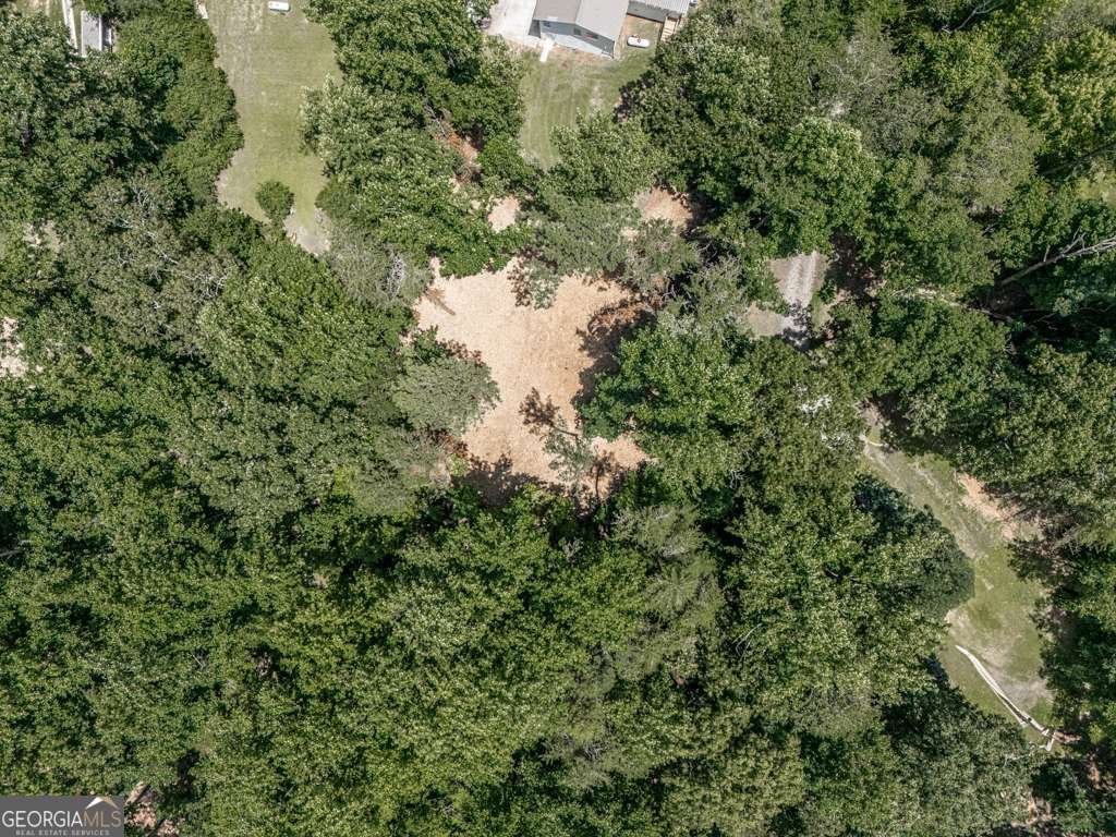 611 Smith Road Ball Ground - 43