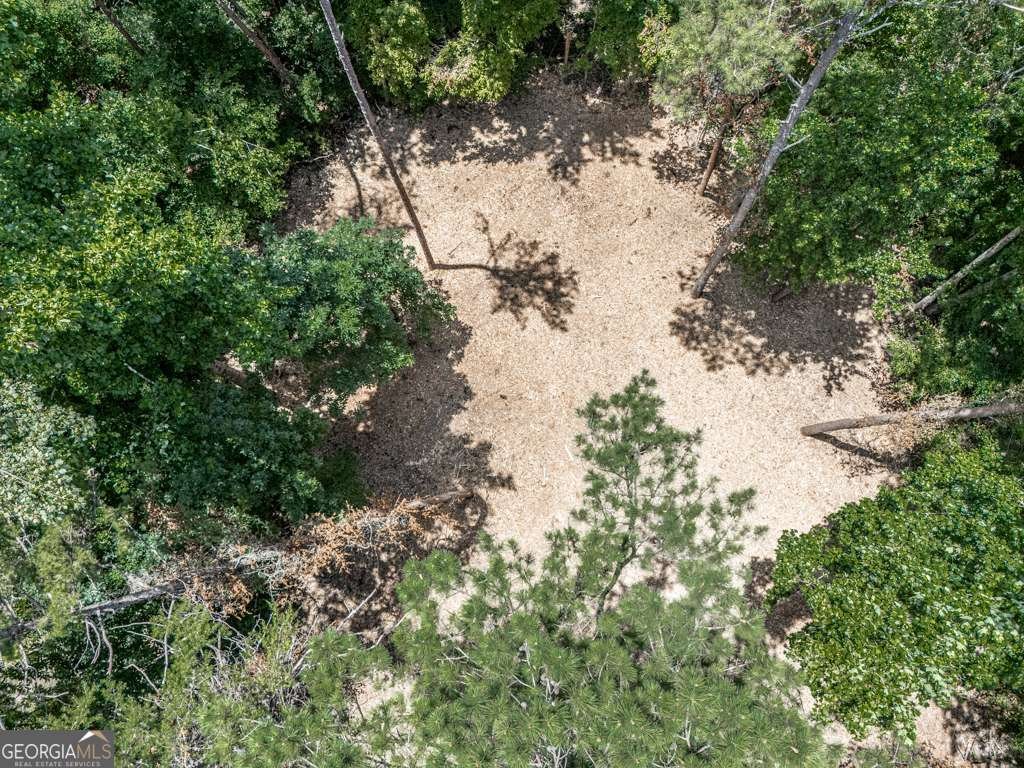 611 Smith Road Ball Ground - 44