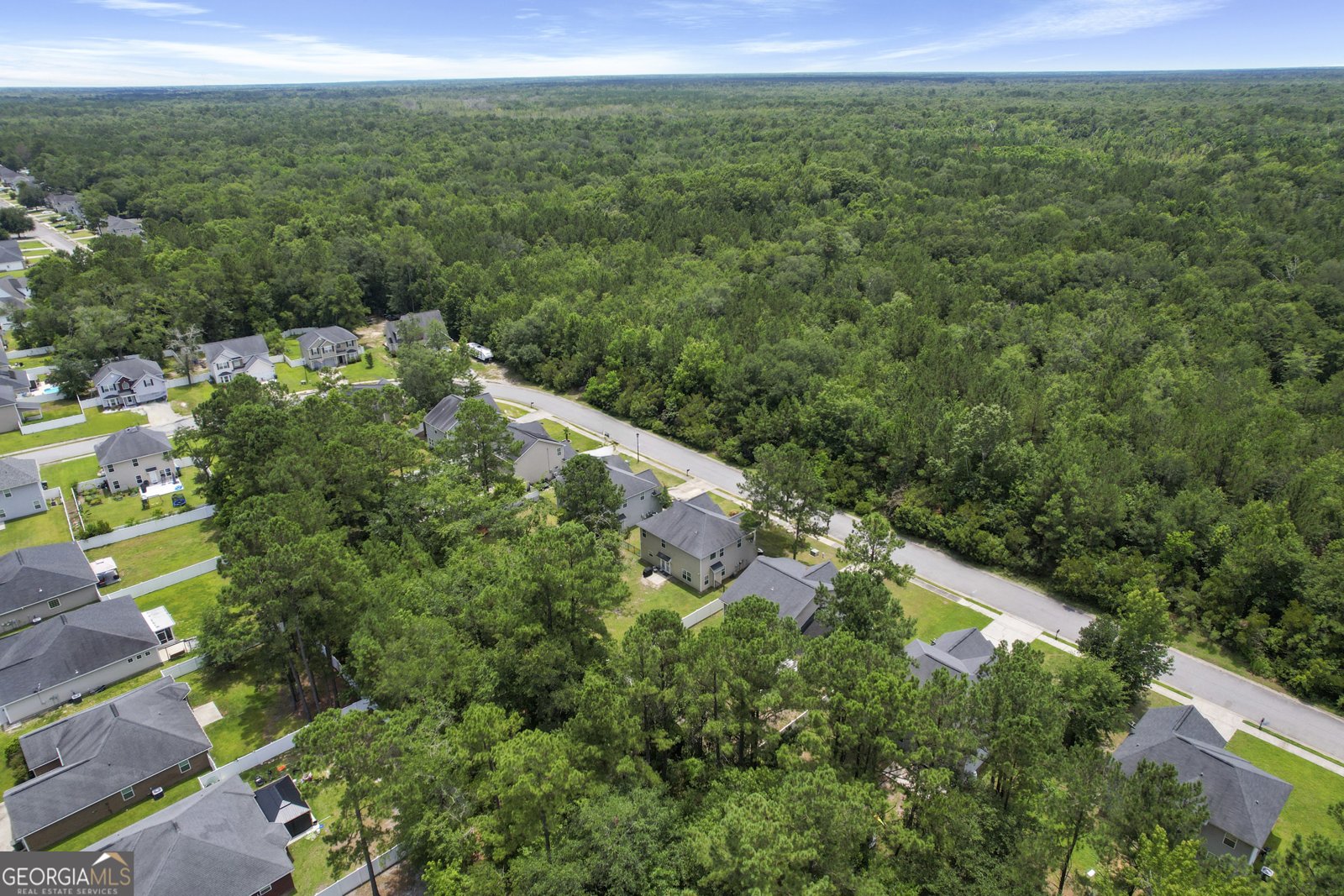 1316 Hill View Circle Hinesville - 1
