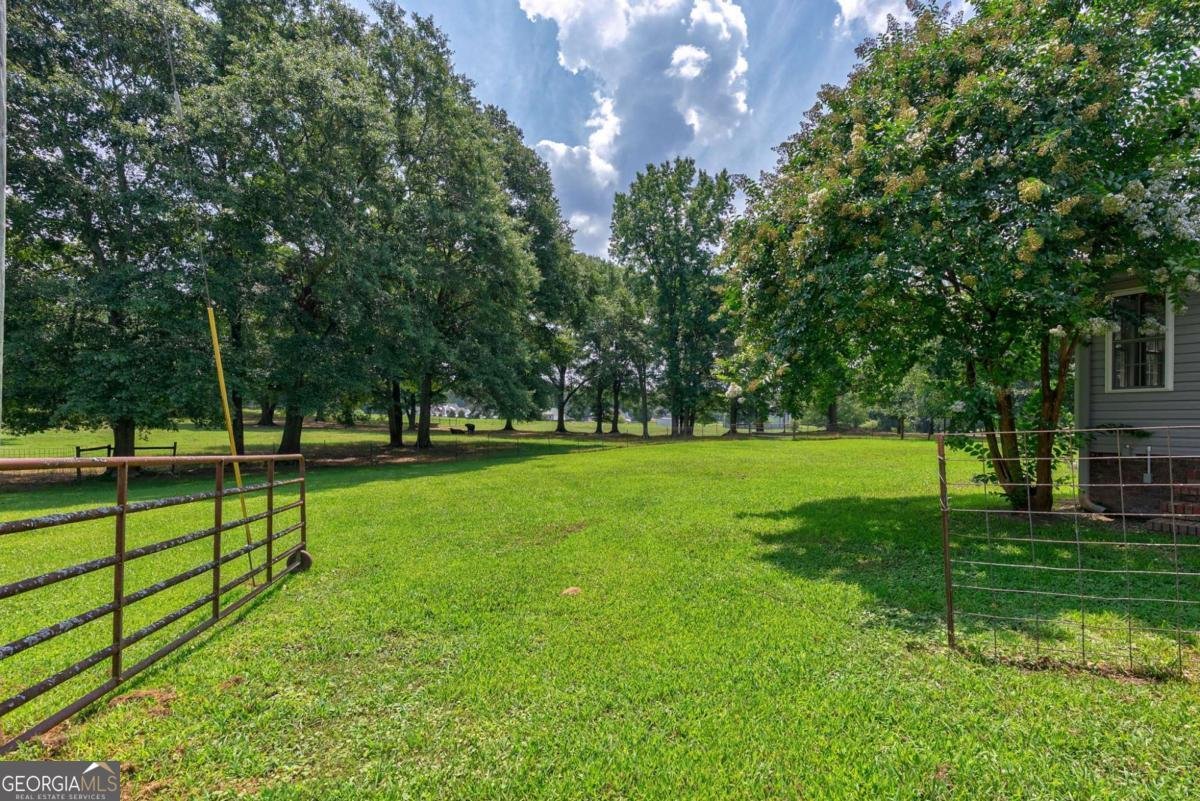 1131 Treadwell Bridge Road Statham - 10