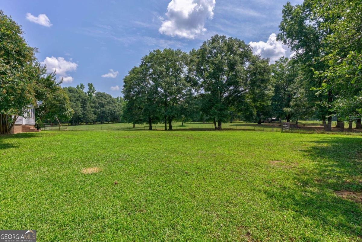 1131 Treadwell Bridge Road Statham - 9