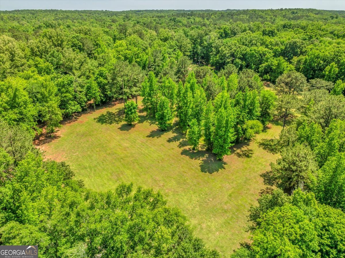 691 Rogers Church Road Forsyth - 16