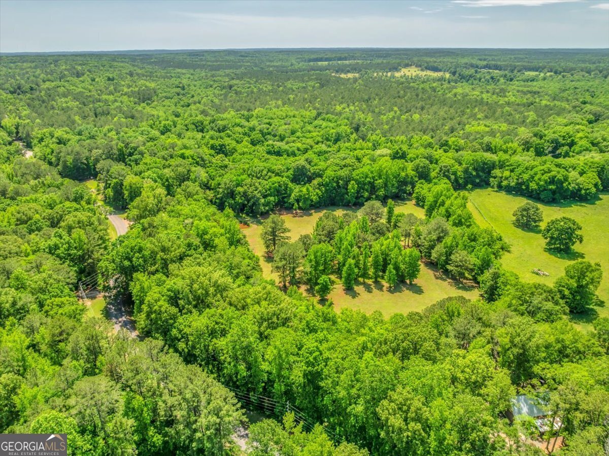691 Rogers Church Road Forsyth - 17