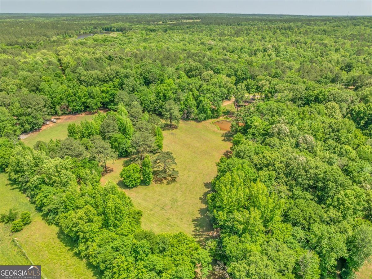 691 Rogers Church Road Forsyth - 25