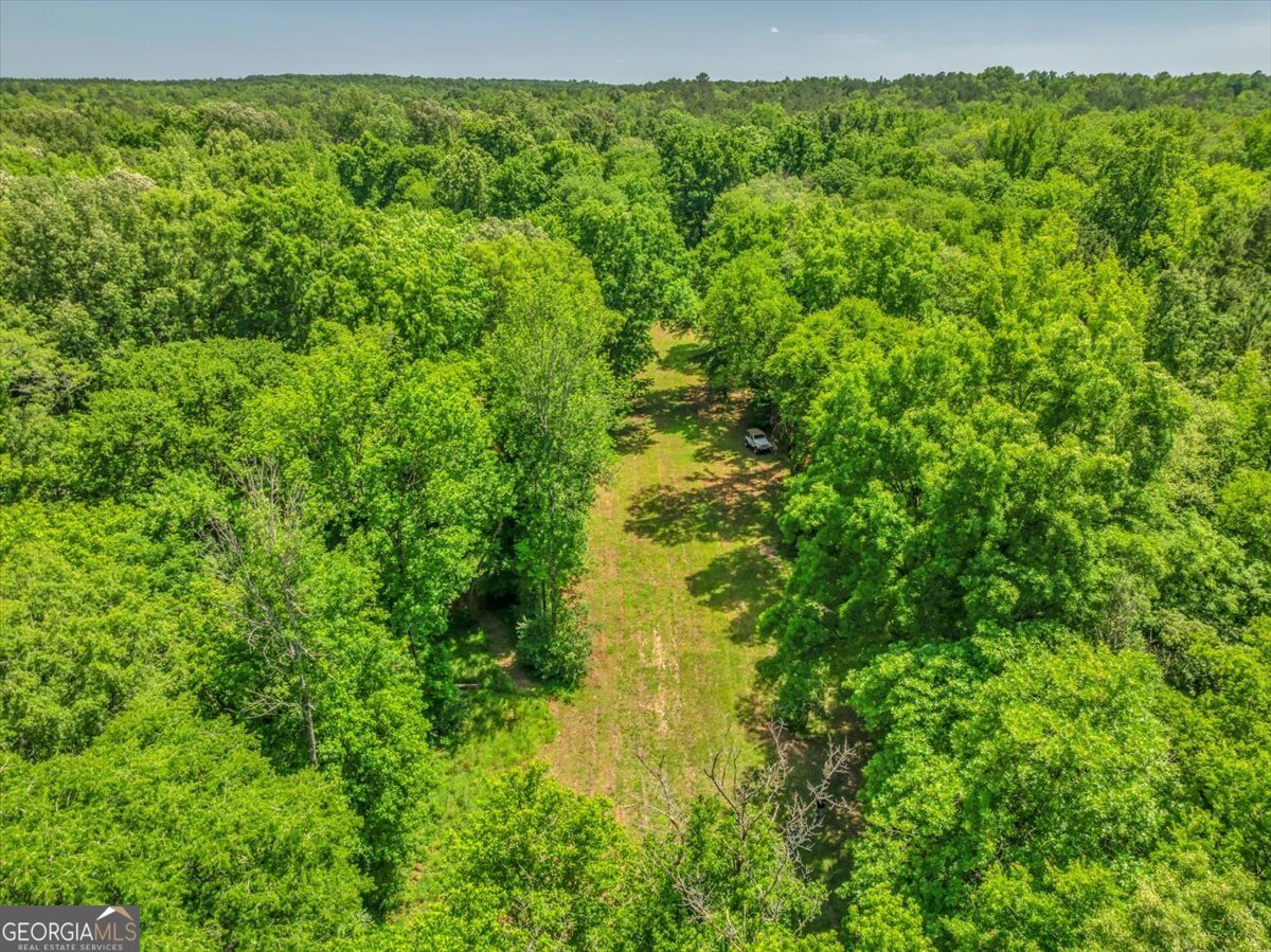 691 Rogers Church Road Forsyth - 4