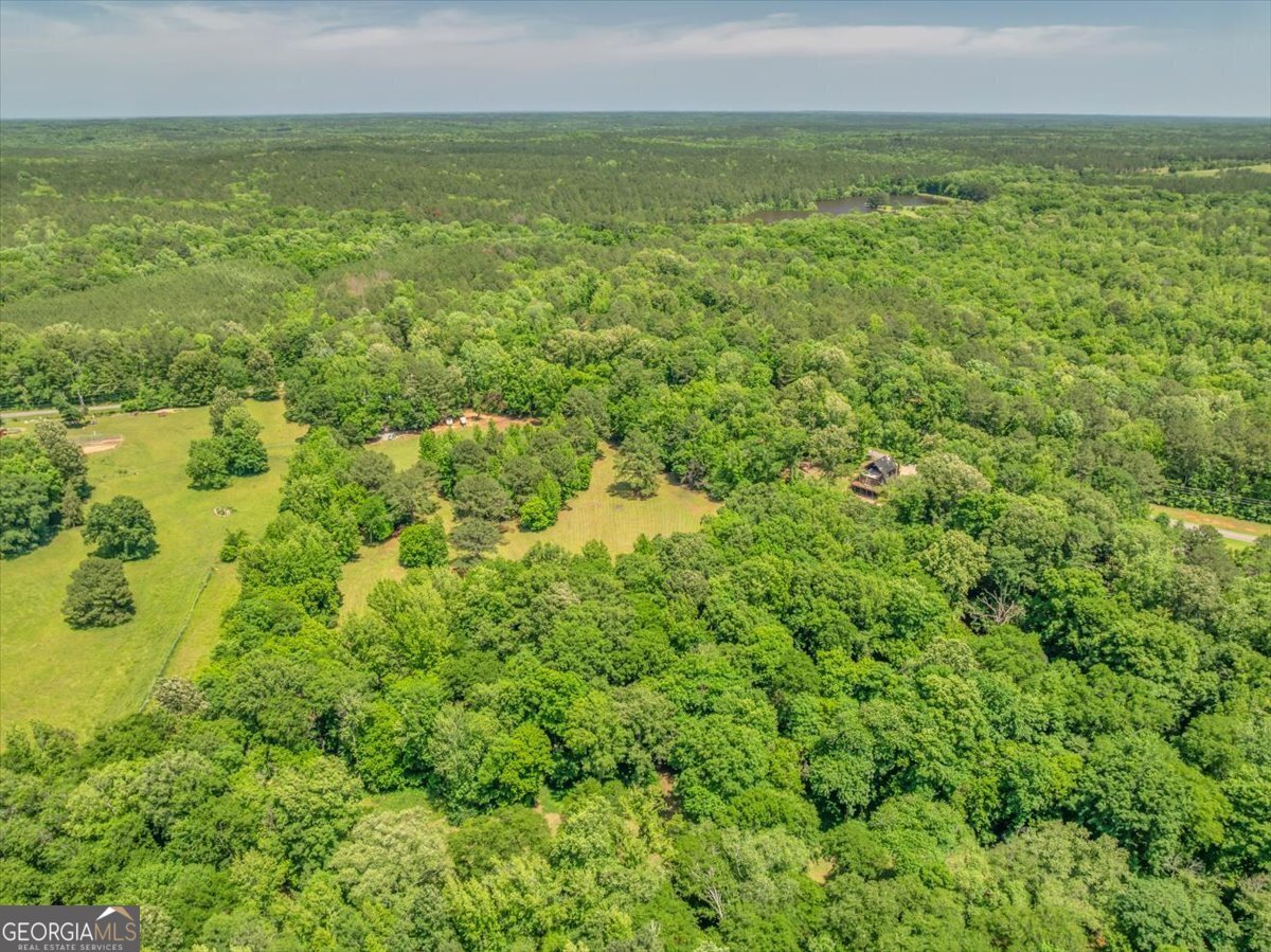 691 Rogers Church Road Forsyth - 9
