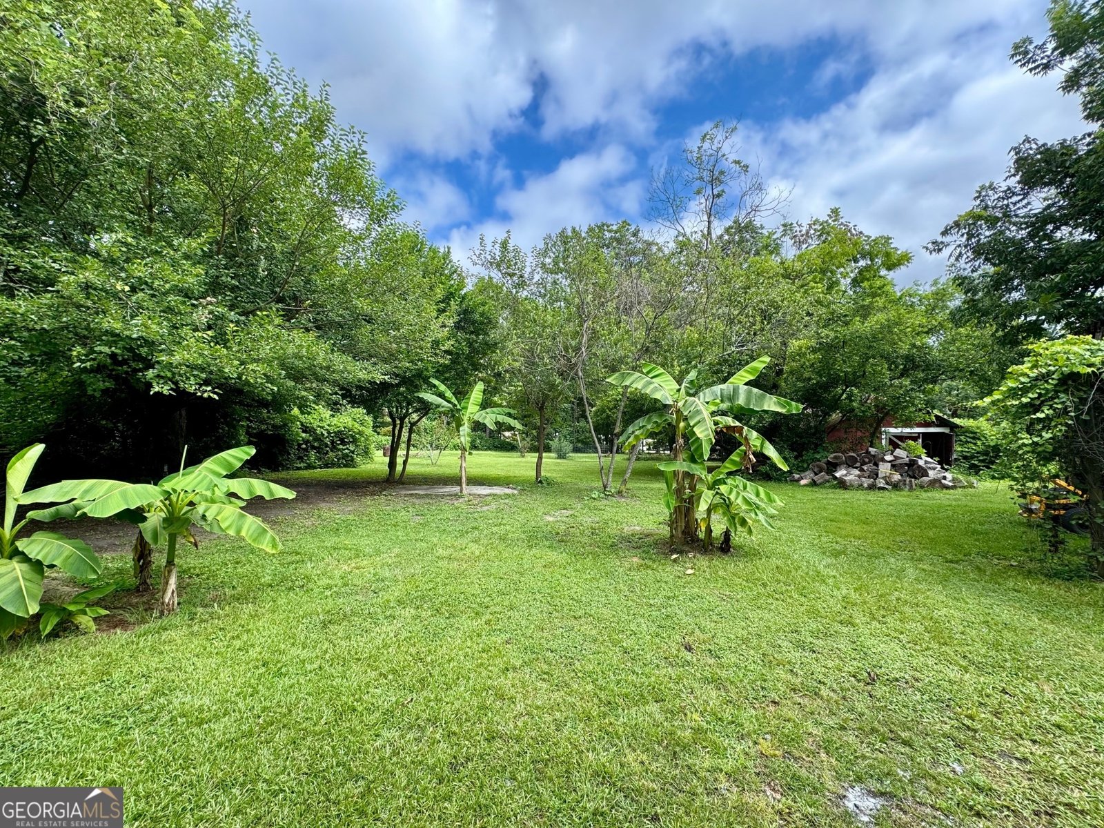 401 Ogeechee Street Sylvania - 17