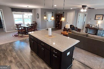 64 Hilton Drive Ellijay - 24