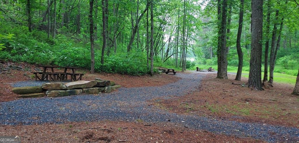 64 Hilton Drive Ellijay - 32