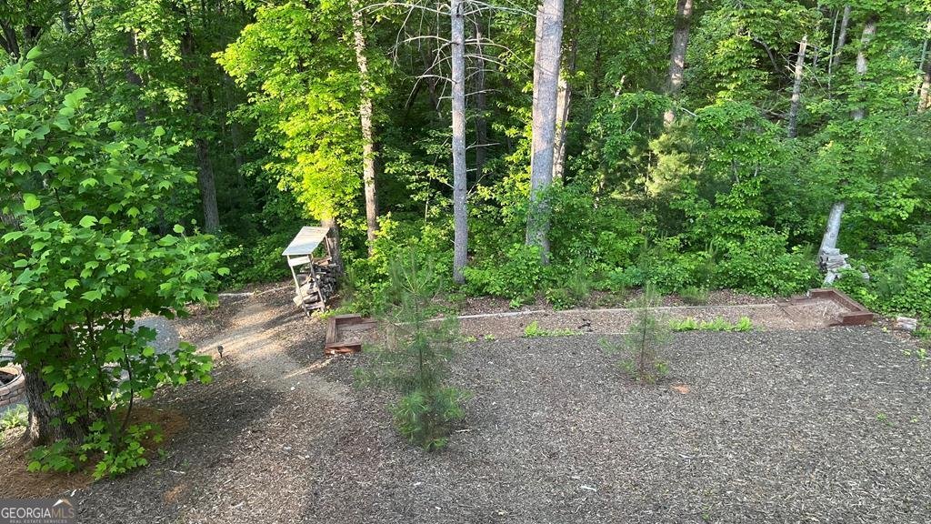 64 Hilton Drive Ellijay - 33