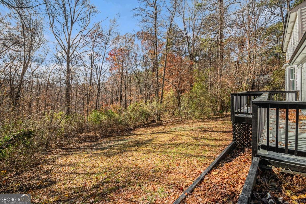 7935 Sweetwater Drive Douglasville - 19