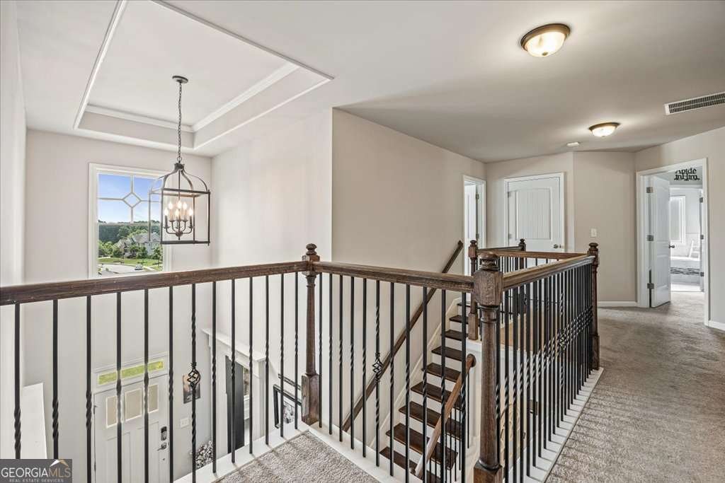 538 Mulberry Fern Drive Auburn - 23