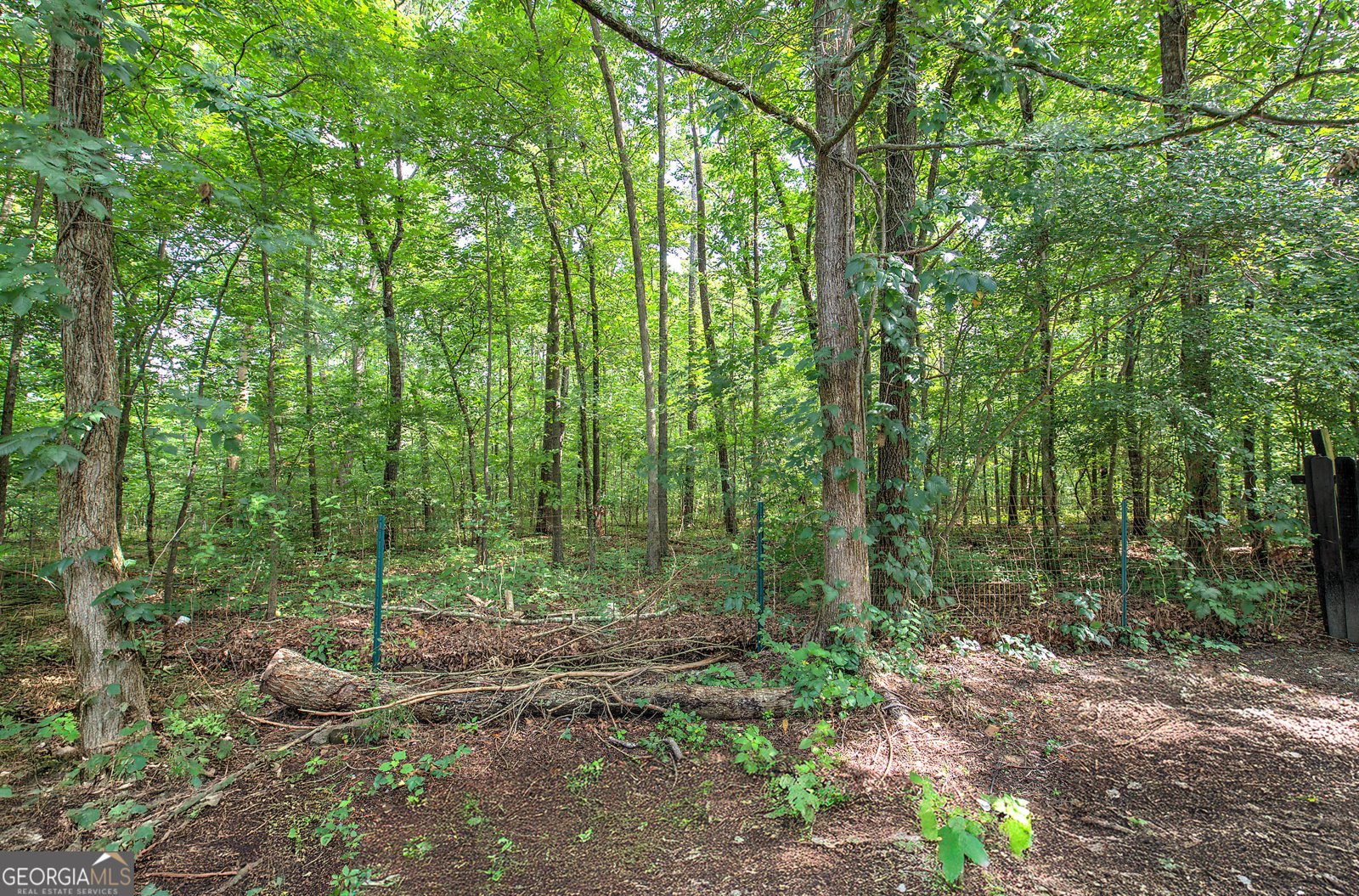 263 Big Indian Trail Rome - 23