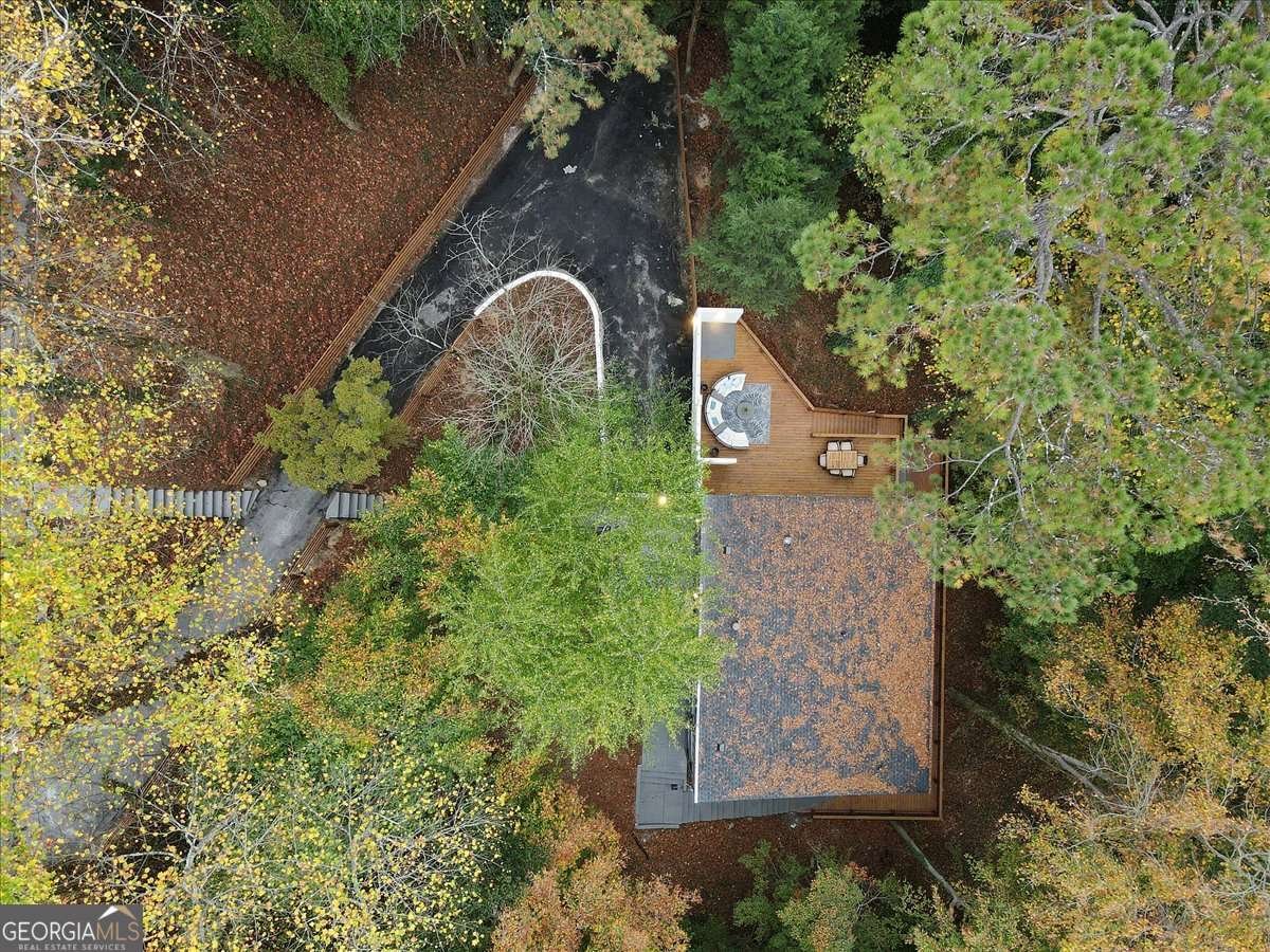 1153 Dawn View Lane Atlanta - 52