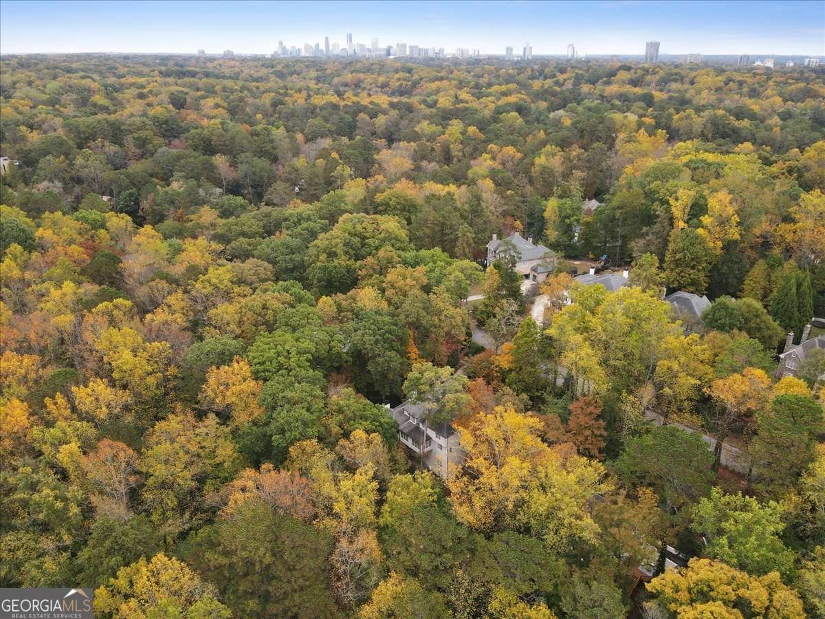 1153 Dawn View Lane Atlanta - 53