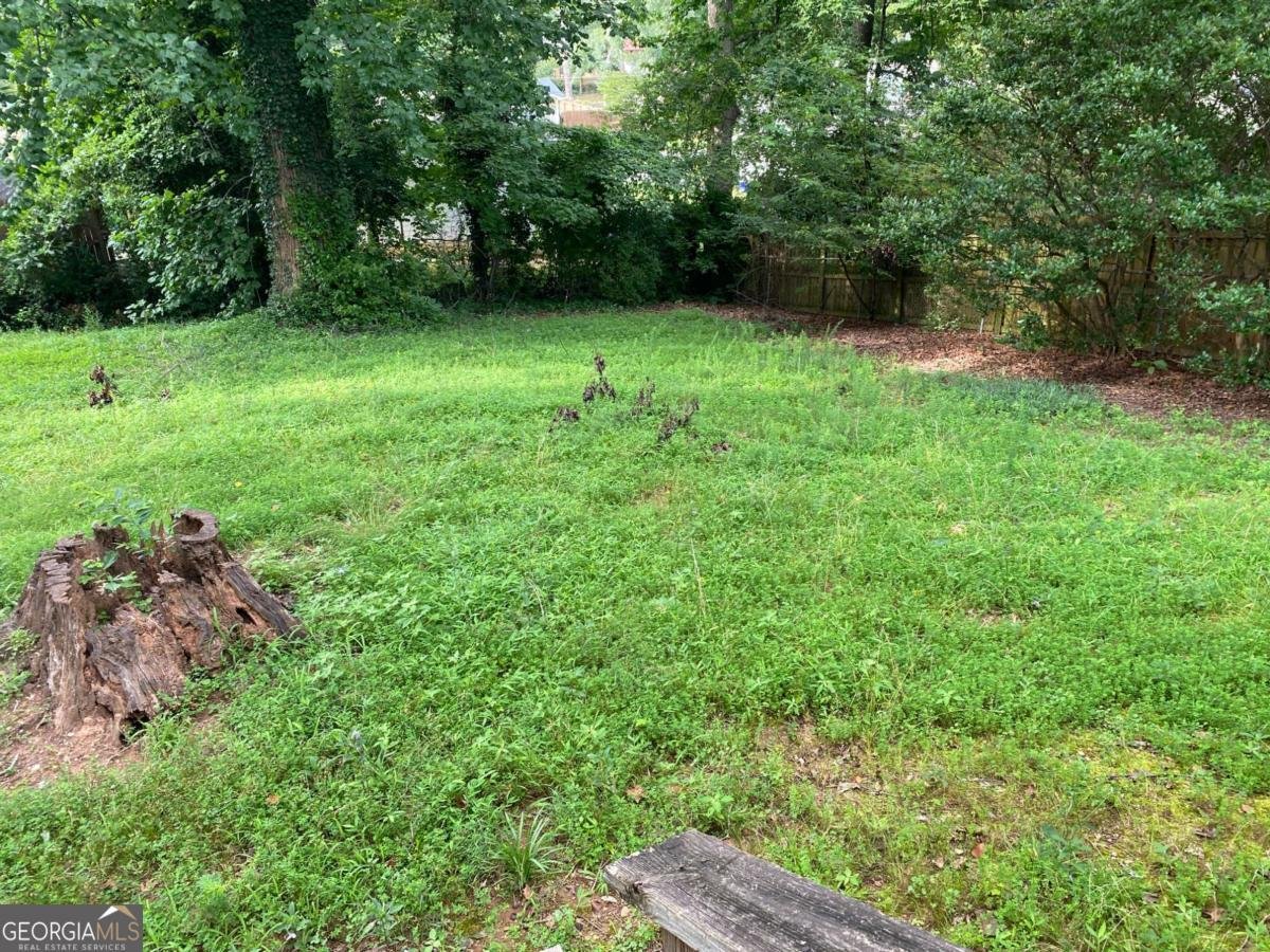 1003 Valley Drive Smyrna - 6