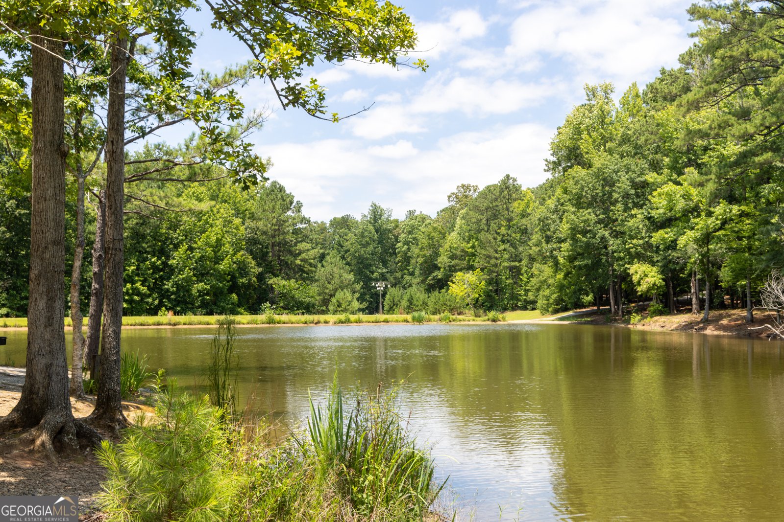 121 Chattahoochee Circle Locust Grove - 31