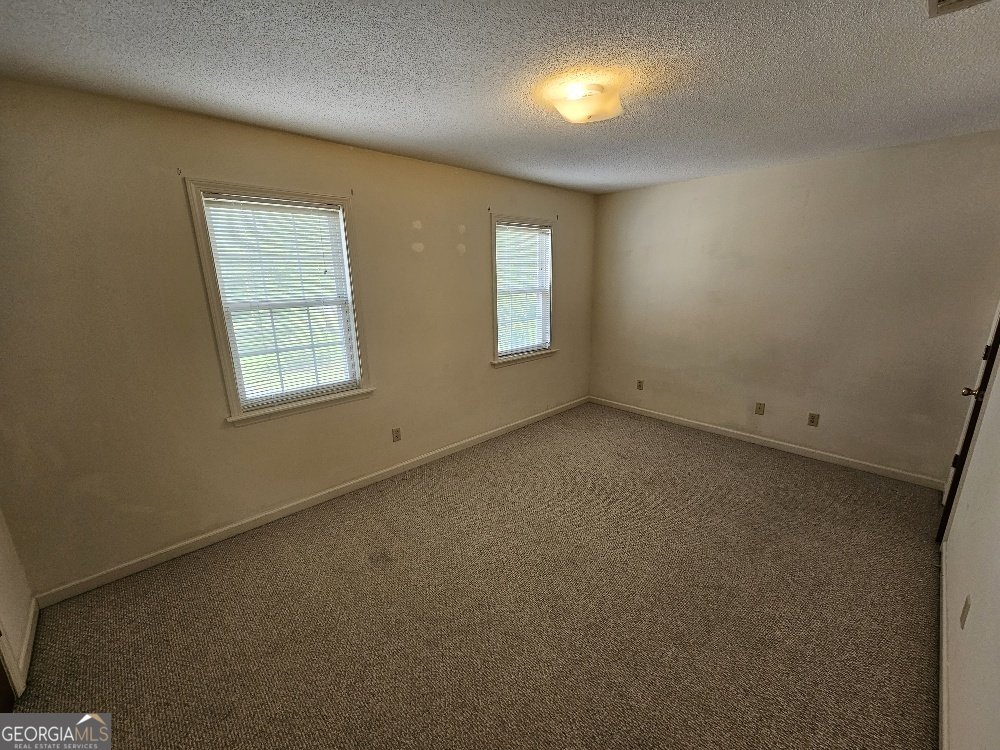 2255 Old Riggs Mill Road Statesboro - 28