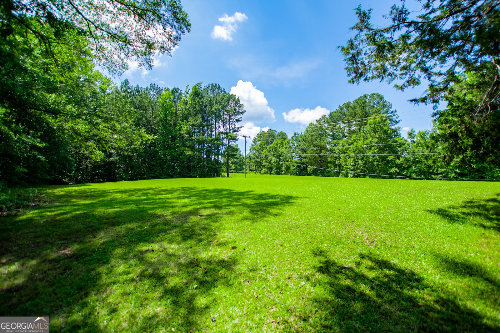 1277 Monroe Mill Road Buchanan - 33