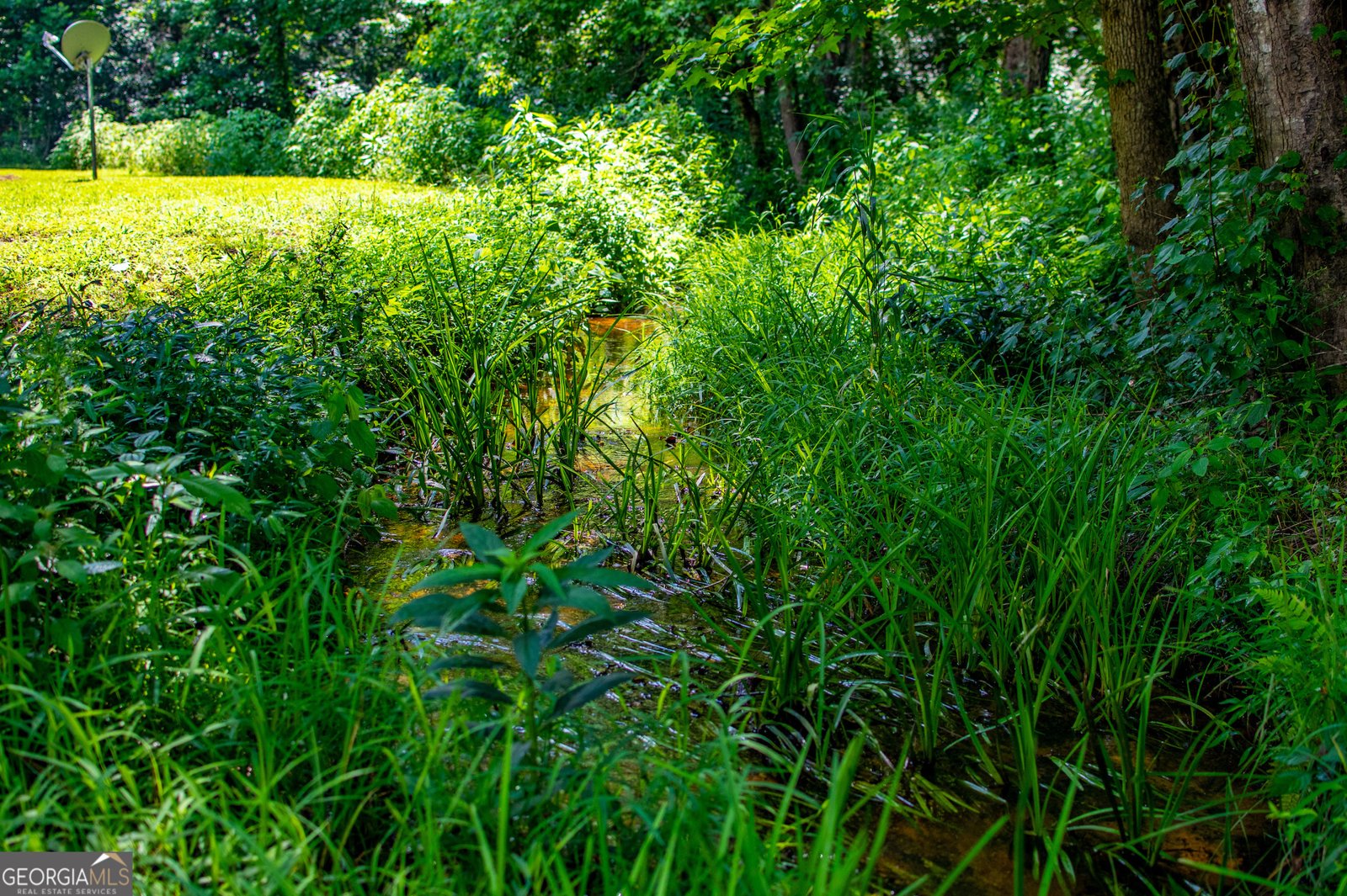 1277 Monroe Mill Road Buchanan - 35