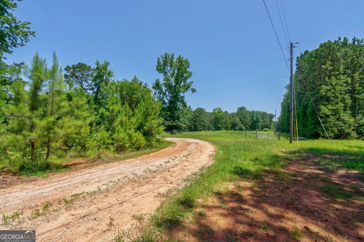 1828 Pitts Chapel Road Newborn - 24